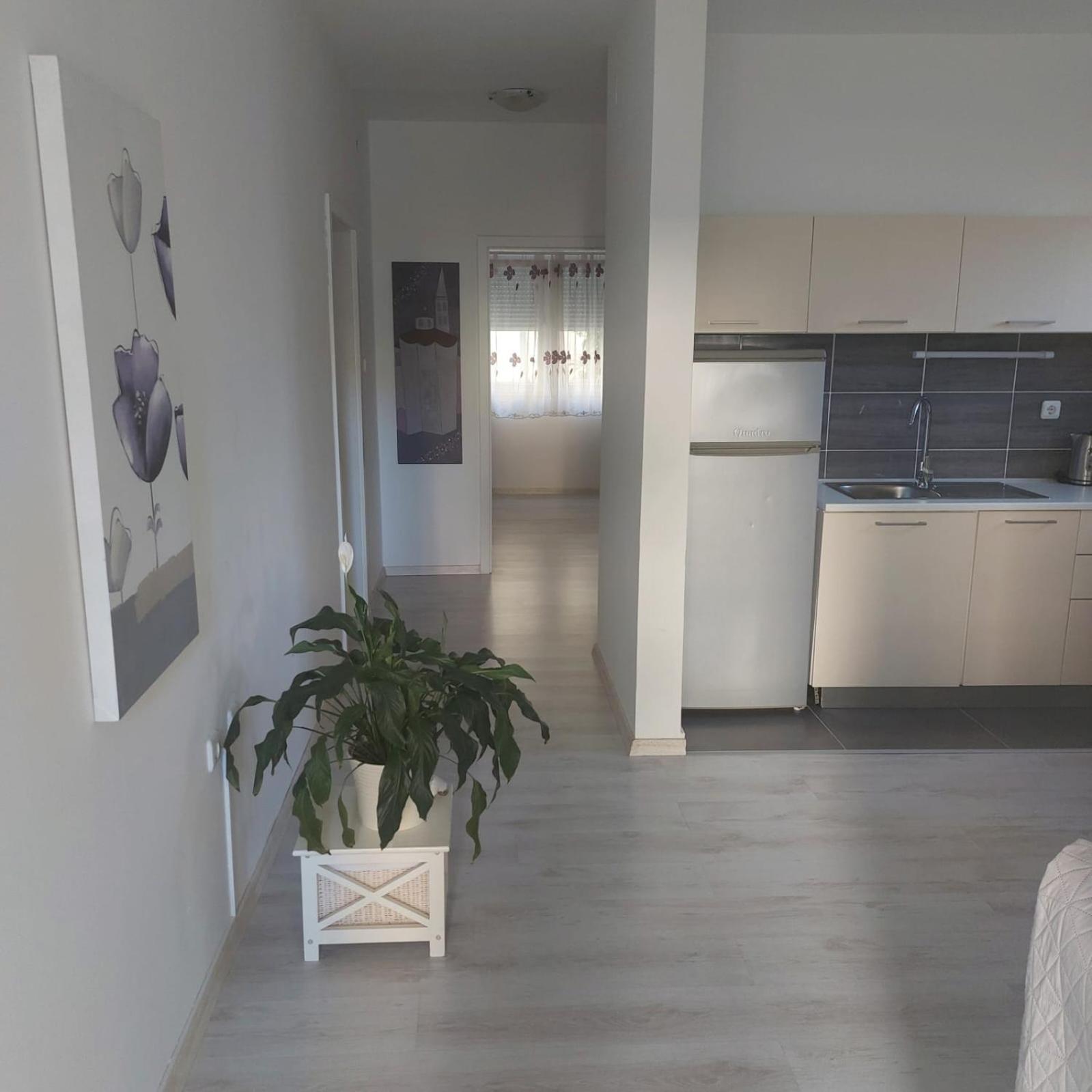Martina Sun Apartment Задар Екстер'єр фото